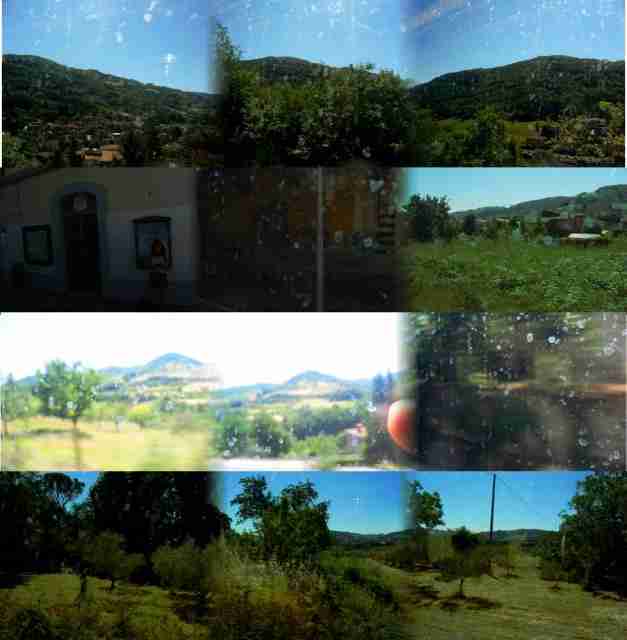 Il fico cinghiale - documentario